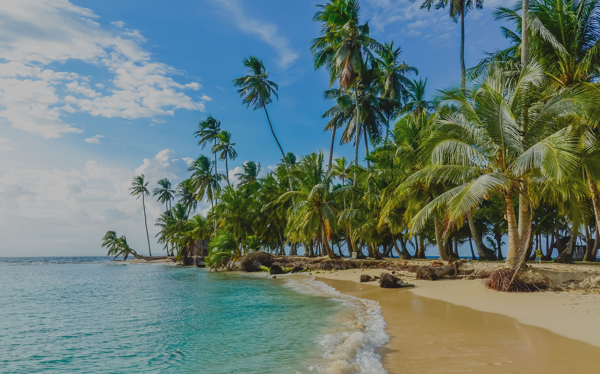 Sonne macht glücklich
